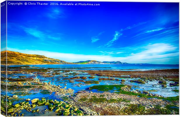 Low Tide at Lyme Regis Canvas Print by Chris Thaxter