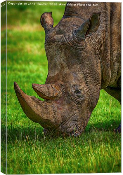 Southern White Rhinoceros Canvas Print by Chris Thaxter