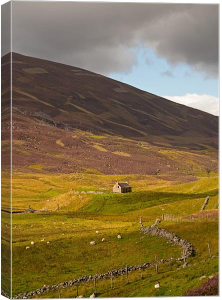 Isolated Cottage Canvas Print by Chris Thaxter