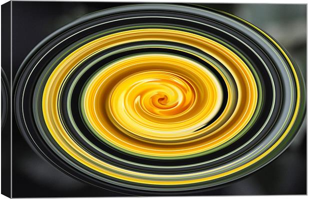 The Radiant Swirl of Yellow Roses Canvas Print by Chris Thaxter