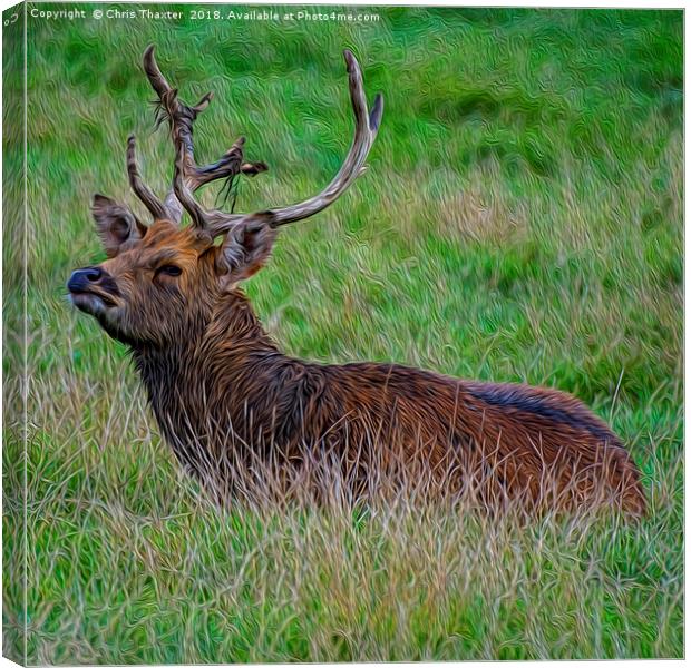 Majestic Red Deer Stag Resting in the Wild Canvas Print by Chris Thaxter