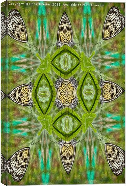 Tree Nymph kaleidoscope Canvas Print by Chris Thaxter