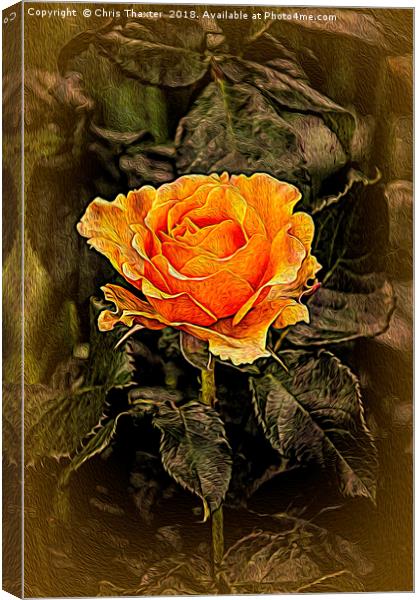Orange Rose in oils Canvas Print by Chris Thaxter