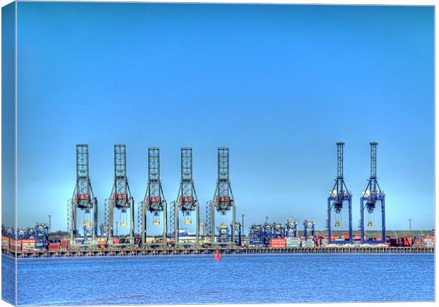 The Cranes 2 Canvas Print by Chris Thaxter