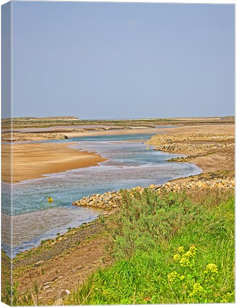 The Inlet Canvas Print by Chris Thaxter