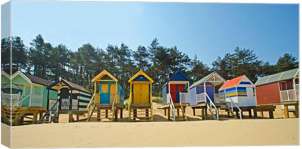 Beach Huts and Pine Trees Canvas Print by Chris Thaxter