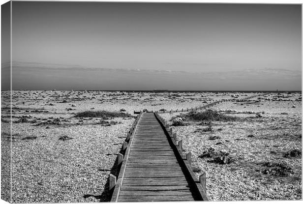 Dungeness Boardwalk to the Sea Canvas Print by Chris Thaxter