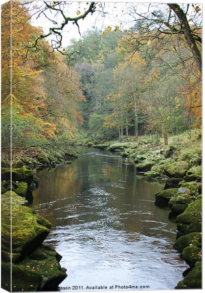 The Strid Canvas Print by Mark Hobson