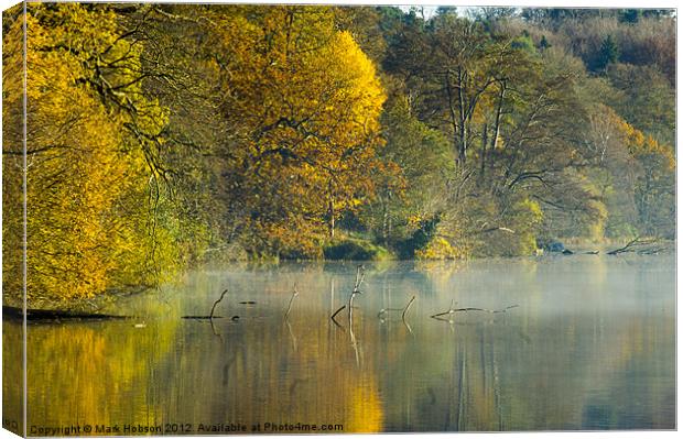 Yellow and Gold Canvas Print by Mark Hobson