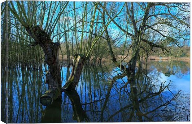 The flooded Stream Canvas Print by Mark Hobson