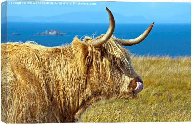 Highland Beauty Highland Cow Canvas Print by Bel Menpes