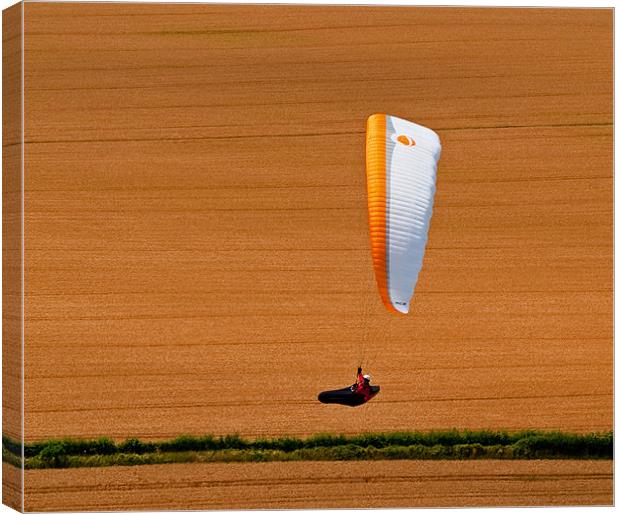 Wheat Field Paraglider Canvas Print by Bel Menpes