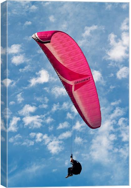 Red Canopy Paraglider Canvas Print by Bel Menpes