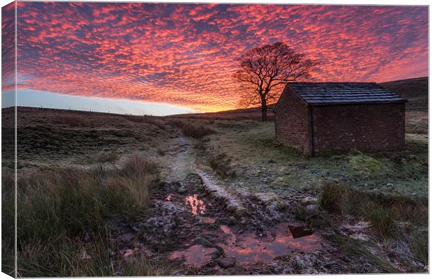Wildboarclough Sunrise Canvas Print by James Grant