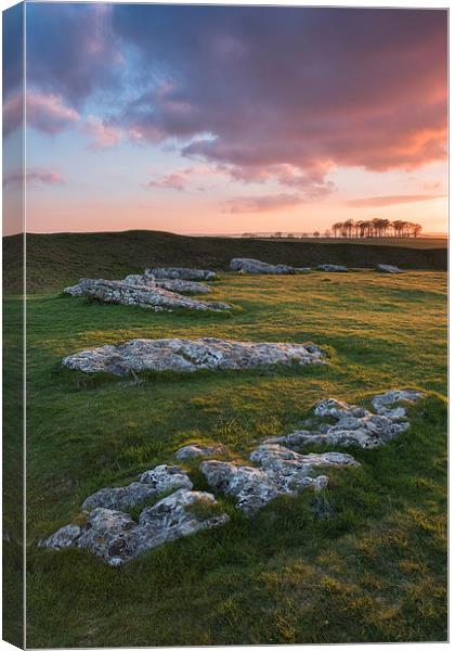 Arbor Low Canvas Print by James Grant