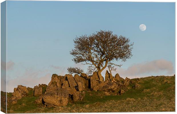 Roystone Rocks Tree and Moon Canvas Print by James Grant