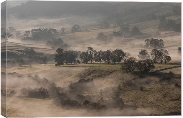  Misty Dove Canvas Print by James Grant