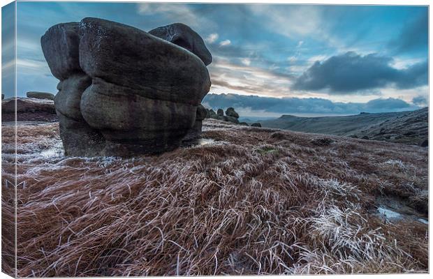  Wool Packs - Kinder Scout Canvas Print by James Grant