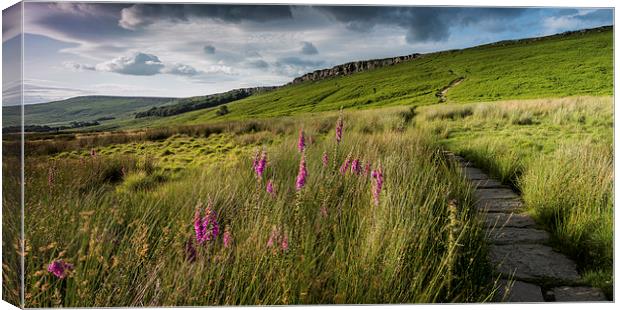  Stanage Edge Panoramic Canvas Print by James Grant