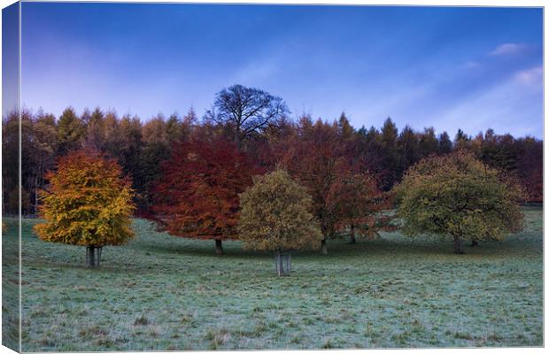  Chatsworth Houser Autumn Trees Canvas Print by James Grant