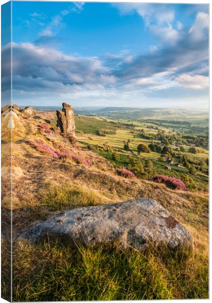 Curbar Edge Heather Canvas Print by James Grant