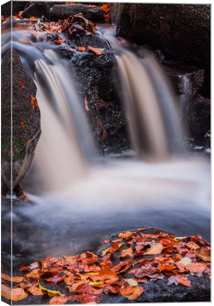 Padley Gorge Canvas Print by James Grant