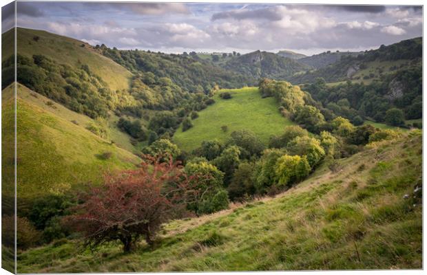 Ecton Hill to Thor's Cave - Canvas Print by James Grant