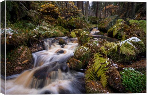 Wyming Brook Autumn Snow  Canvas Print by James Grant