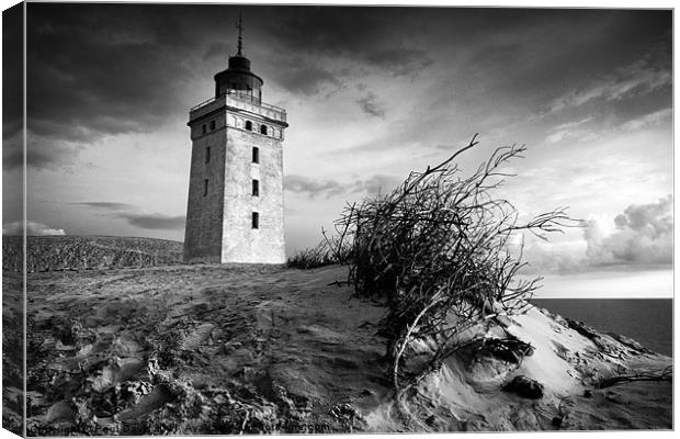 Rubjerg Knude Canvas Print by Paul Davis