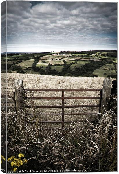 North Yorkshire Moors Canvas Print by Paul Davis