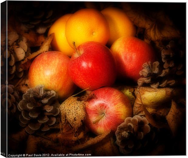 Apples and Oranges Canvas Print by Paul Davis