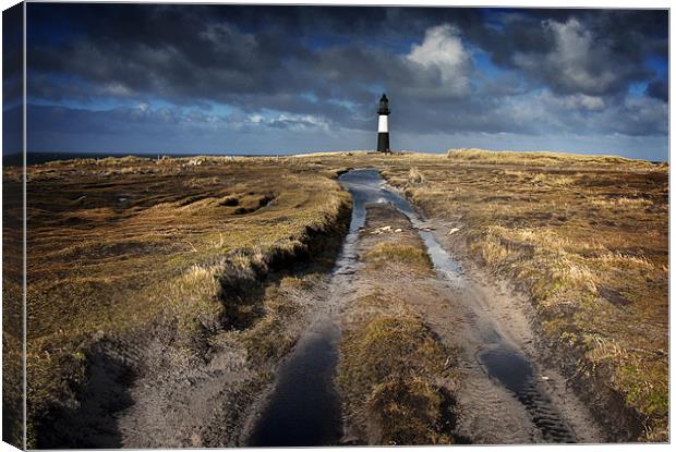 Pembroke lighthouse Canvas Print by Paul Davis