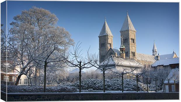 Viborg Cathedral Canvas Print by Paul Davis