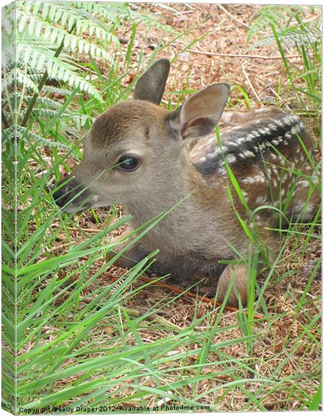 Hiding Bambi Canvas Print by kelly Draper