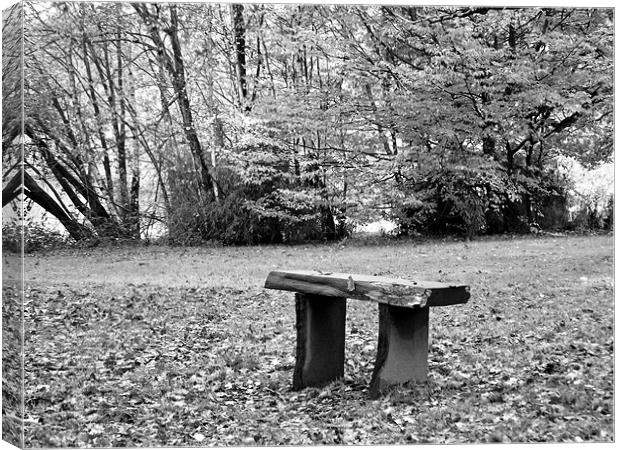 Bench Canvas Print by kelly Draper