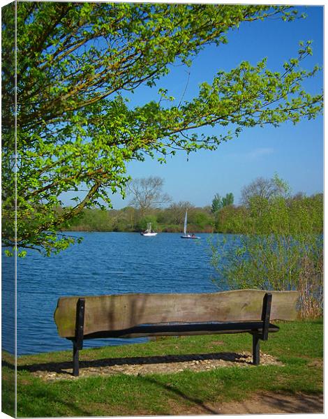 A sit by the lake Canvas Print by kelly Draper