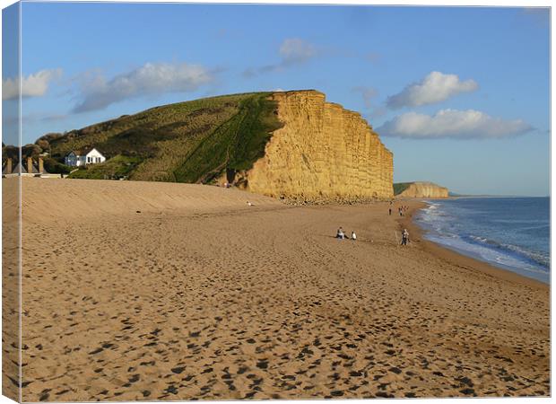 Sandstone Cliffs at West Bay Canvas Print by Phil English
