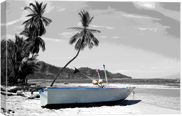 Boat on Beach Canvas Print by james balzano, jr.
