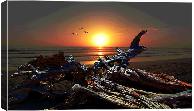 Fabulous Sunset Canvas Print by james balzano, jr.