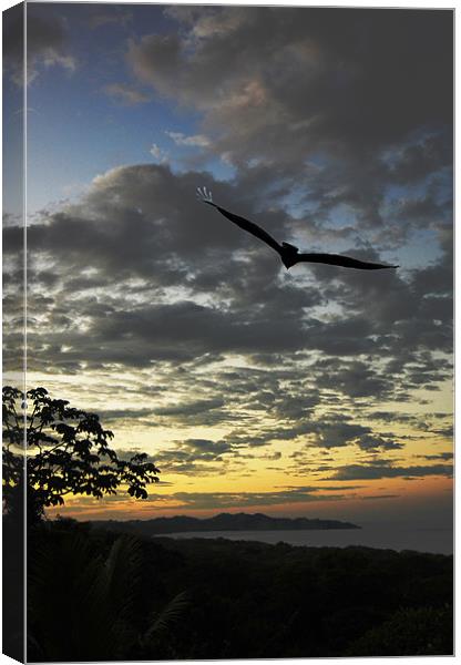 Sunrise and Vulture Canvas Print by james balzano, jr.
