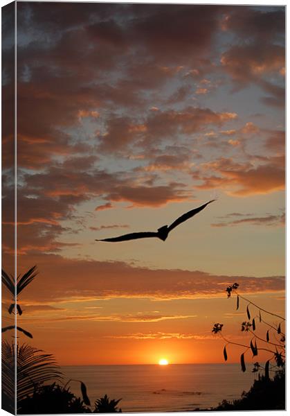 Into the Sunset Canvas Print by james balzano, jr.