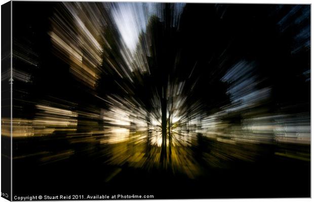 Tree Abstract zoom burst Canvas Print by Stuart Reid