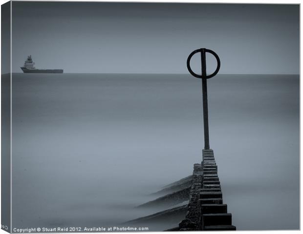 Aberdeen Haar (cyanotype) Canvas Print by Stuart Reid