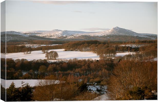 Bennachie Canvas Print by Stuart Reid