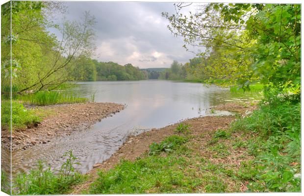 Fyvie Lake Canvas Print by Stuart Reid