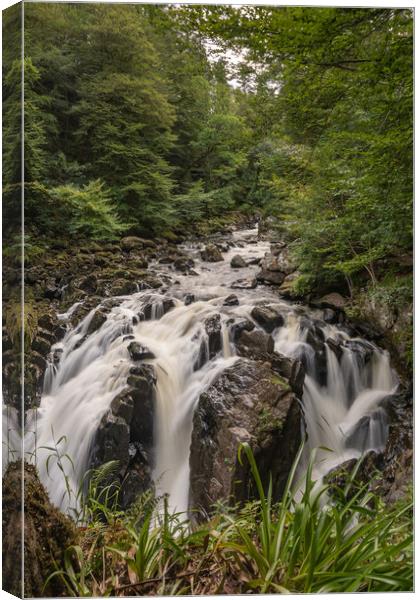 Roaring Black Linn Falls Canvas Print by Stuart Jack