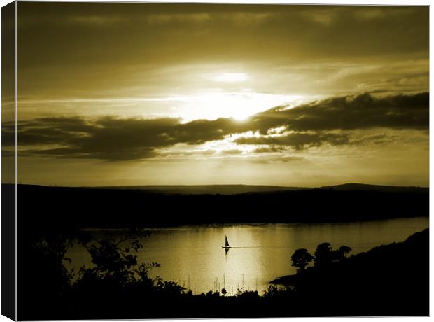 golden sunset Canvas Print by Heather Newton