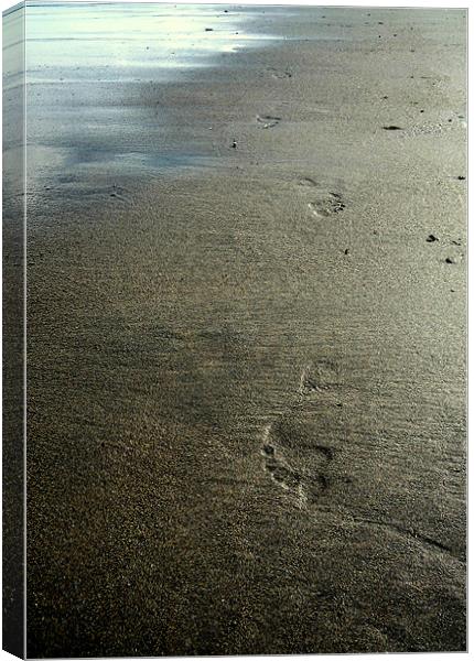 I walk alone Canvas Print by Heather Newton
