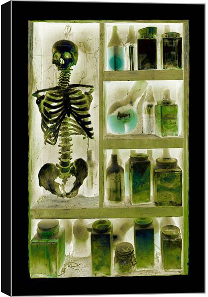 skeleton in the closet Canvas Print by Heather Newton