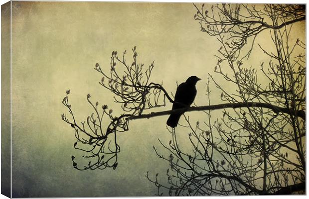 the crow 2 Canvas Print by Heather Newton